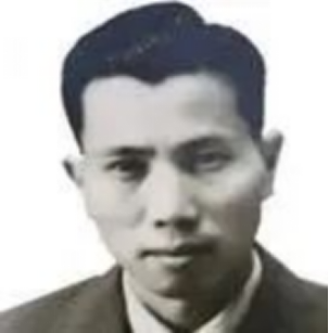 成人视频