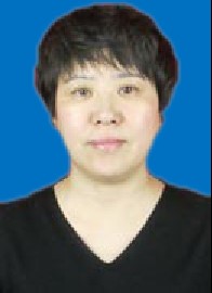 成人视频