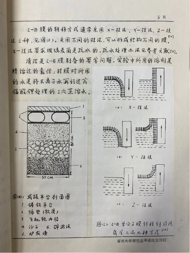 成人视频