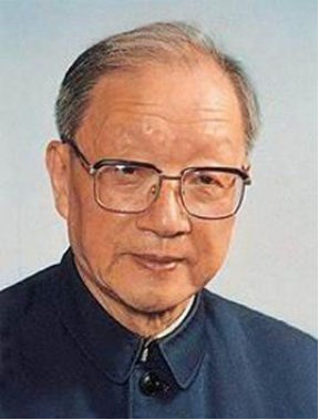 成人视频