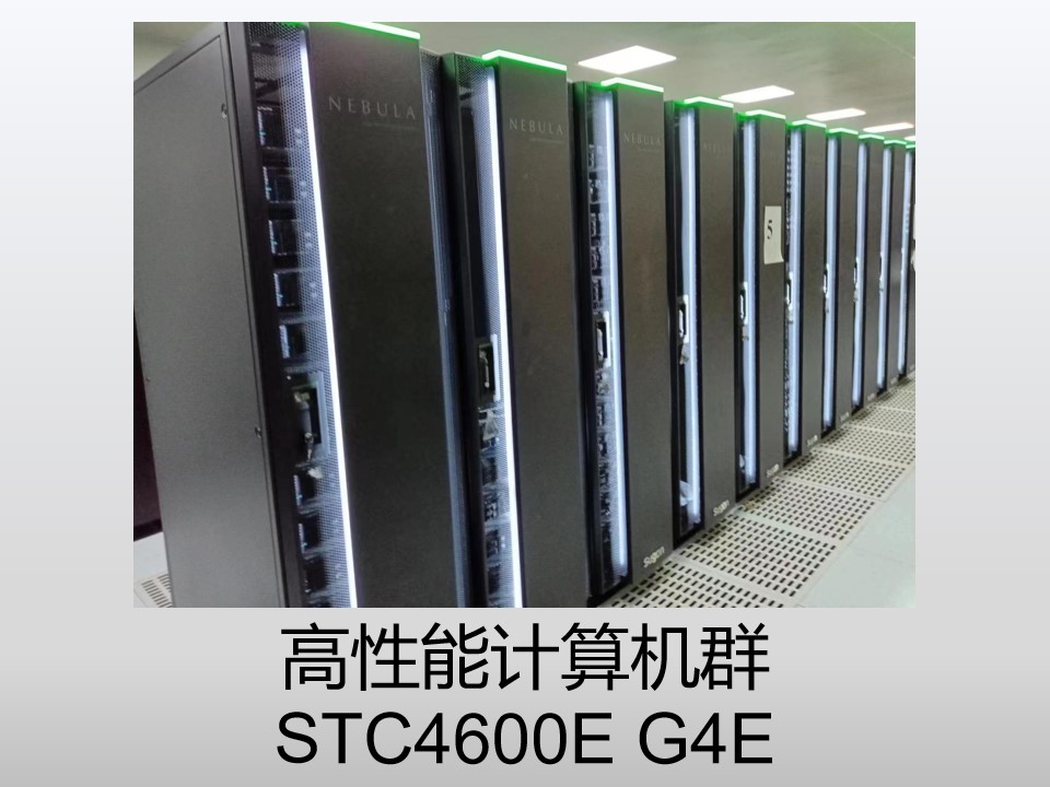 成人视频