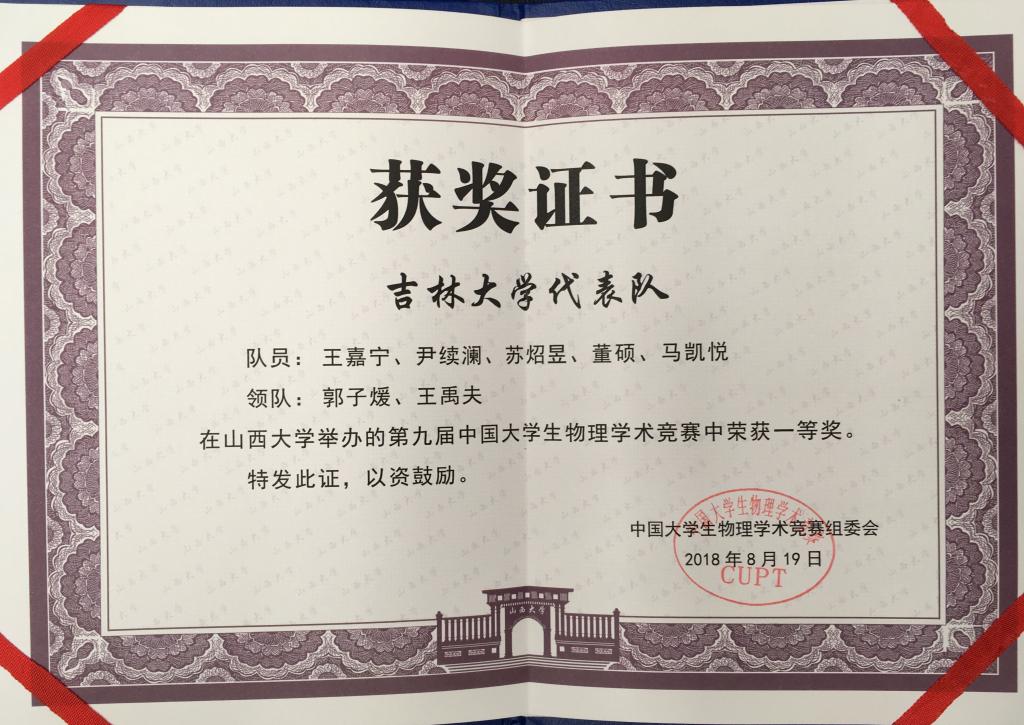 成人视频