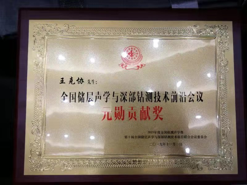 成人视频