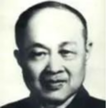 成人视频