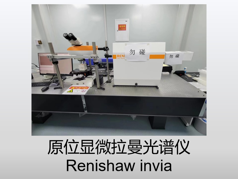 成人视频