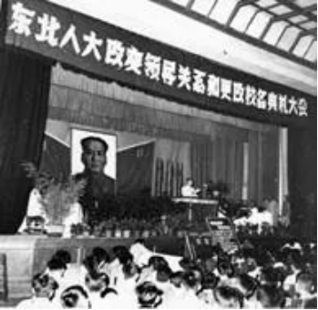 成人视频