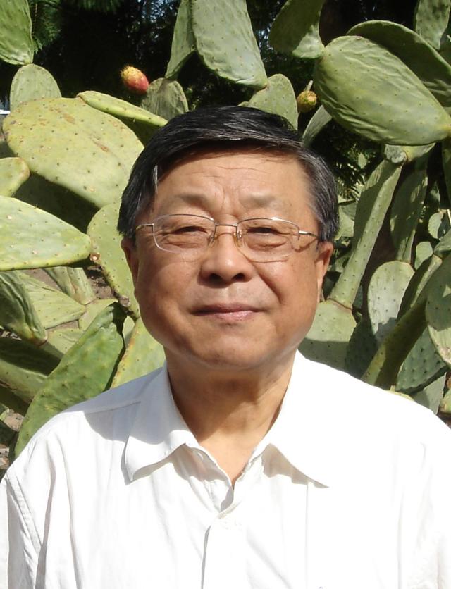 成人视频