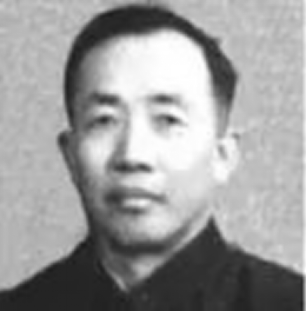 成人视频
