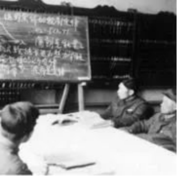 成人视频