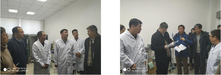成人视频