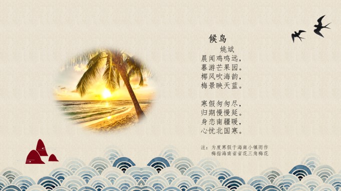成人视频