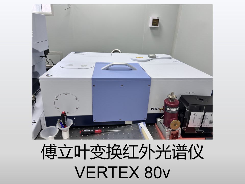 成人视频